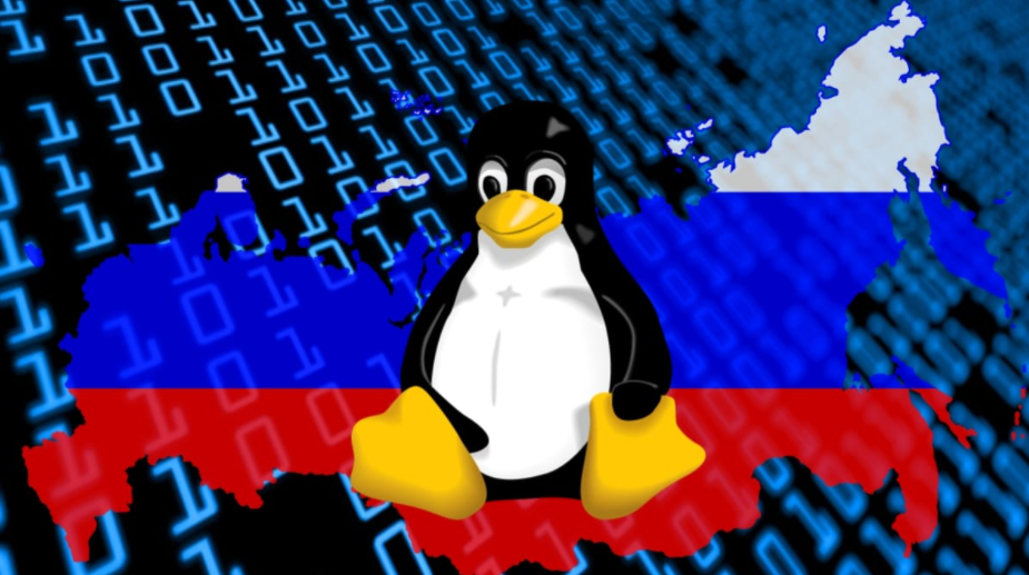 5.png