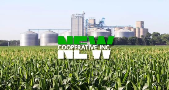 newcooperative遭攻击.jpg